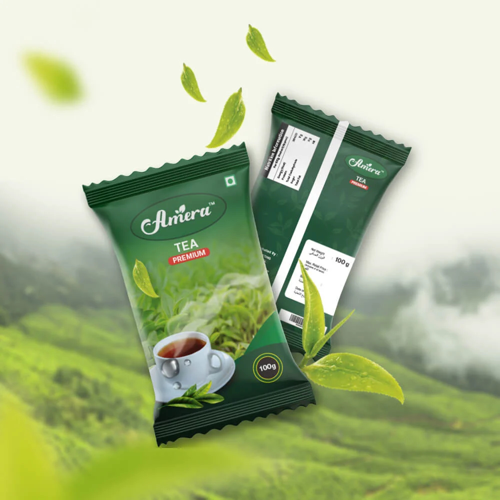 Best Web Design Company In Kerala