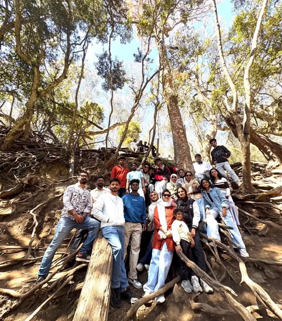 The SilverHost team on a trip, gathered among forest trees